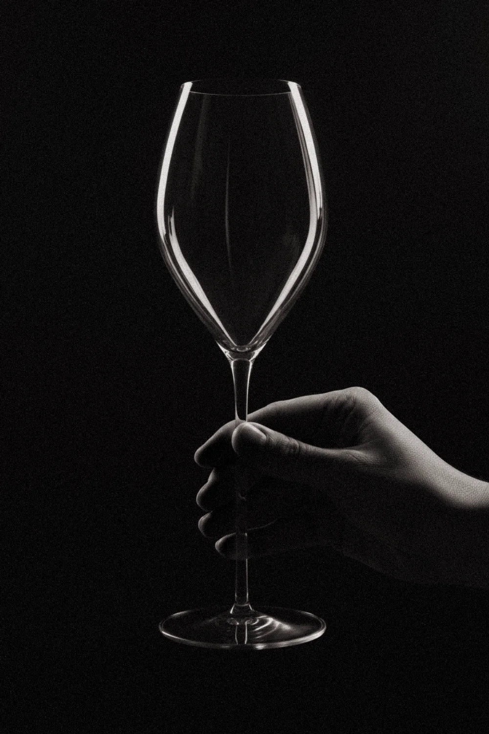 Hand som håller champagneglas